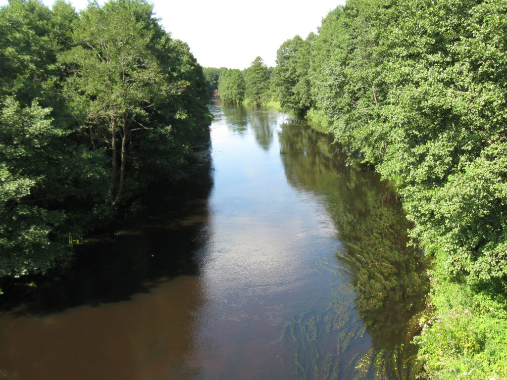 р. Нарочанка