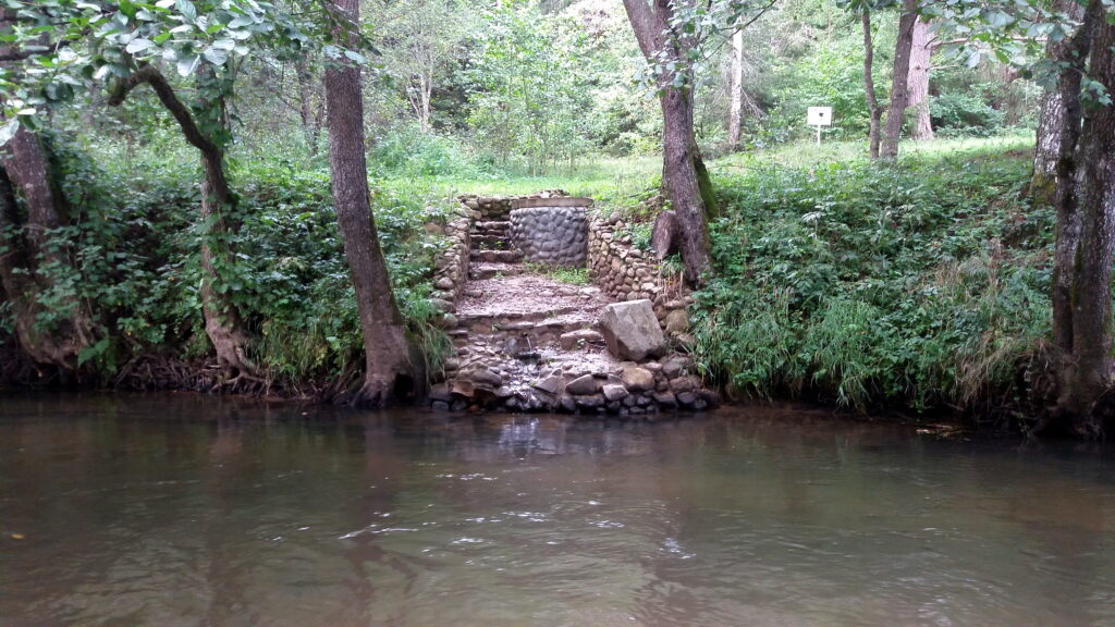 Родник близ д. Боровиковщина